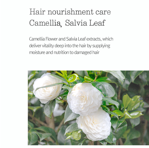 Low pH Scalp Treatment